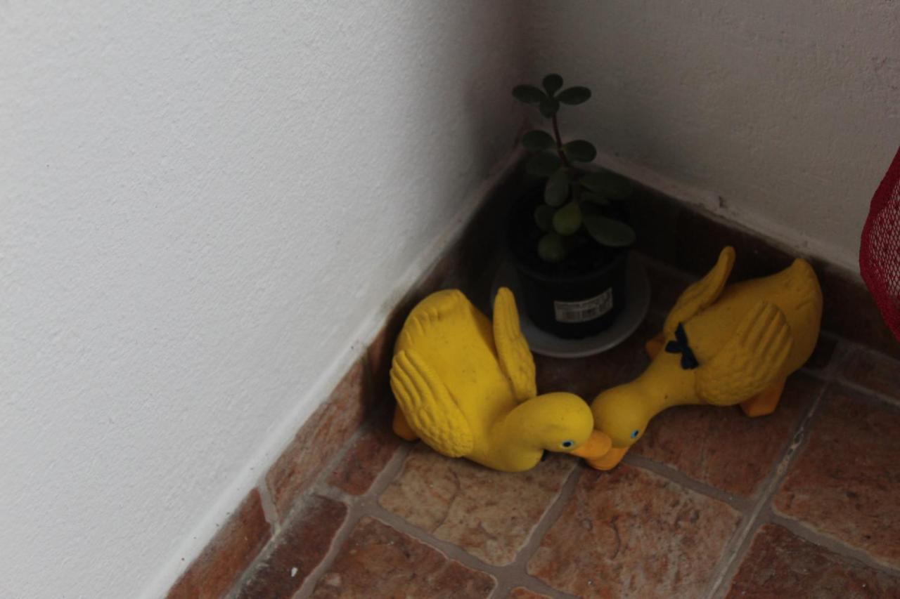 Casa Avo T1 Lägenhet Exteriör bild